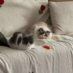 Two cats lying on a white blanket with floral patterns on a light-colored couch.