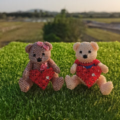 Two teddy bears with heart-shaped outfits on a grassy field